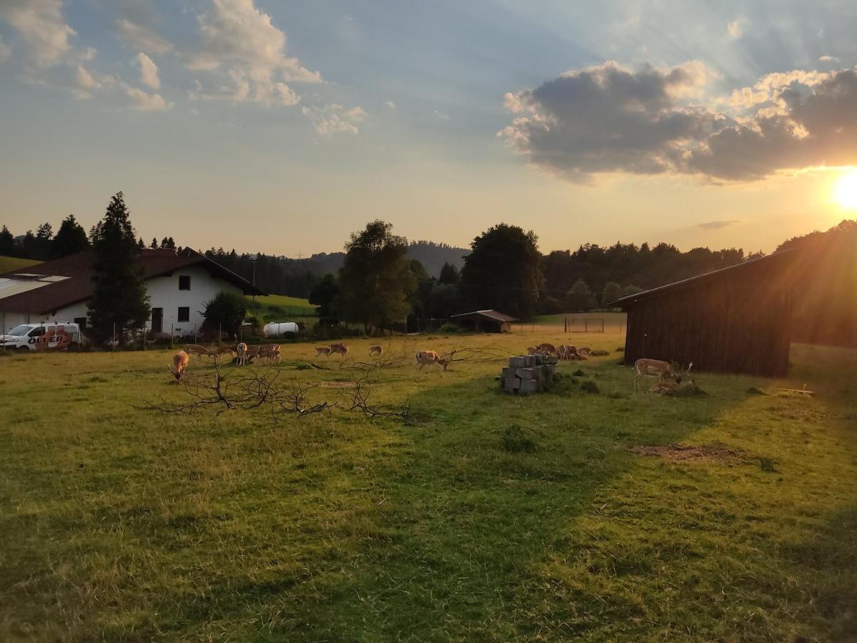 Pension Bachlhof Fursteneck Eksteriør billede
